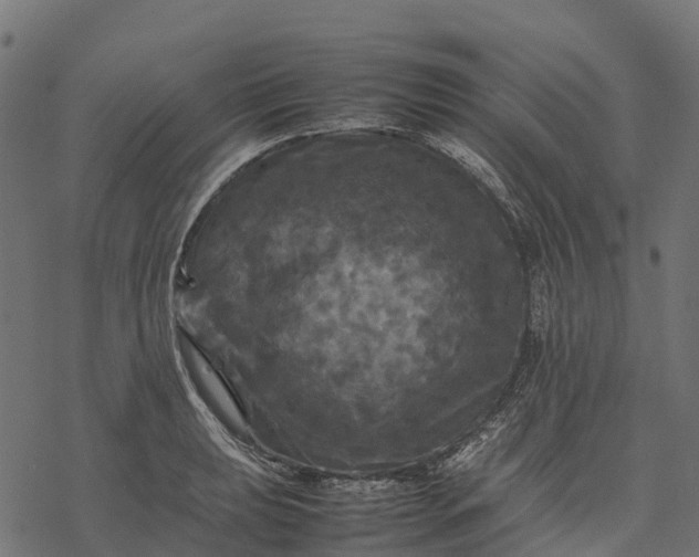 X0000077291039200611031545