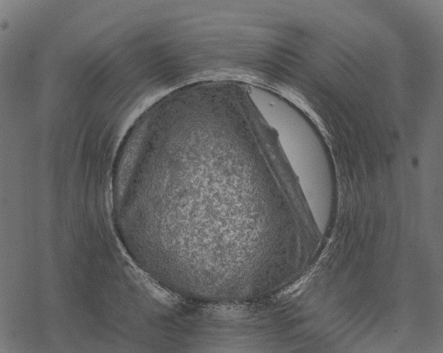 X0000077291040200611031545