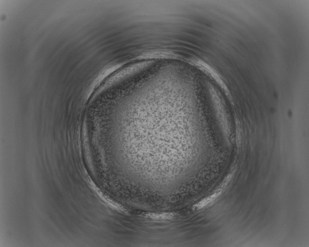 X0000077291041200611031545