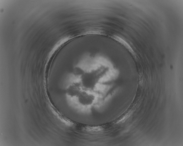 X0000077291043200611031545