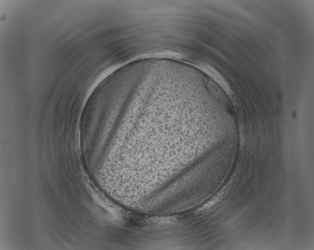 X0000077291044200611031545