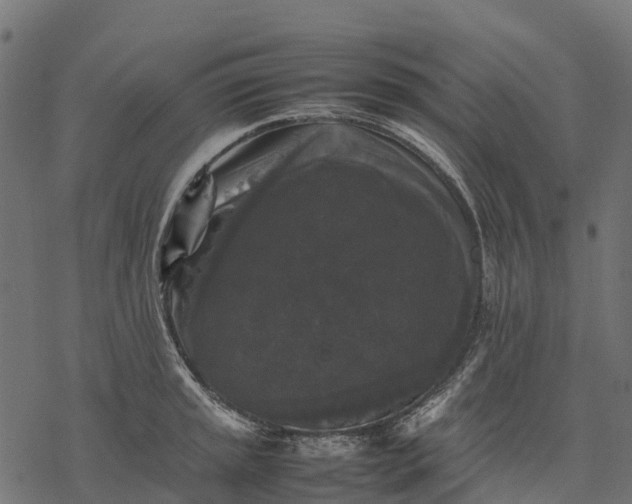 X0000077291045200611031545