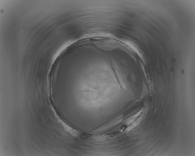 X0000077291046200611031545