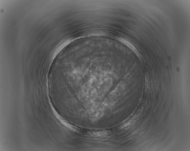 X0000077291047200611031545