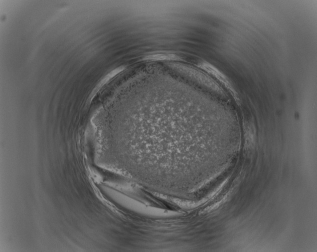 X0000077291049200611031545