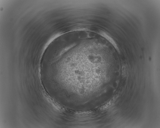 X0000077291051200611031545