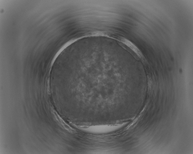 X0000077291052200611031545