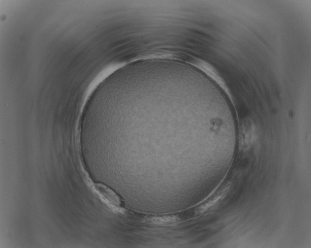 X0000077291053200611031545