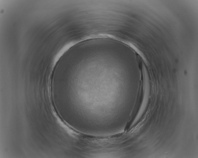 X0000077291054200611031545