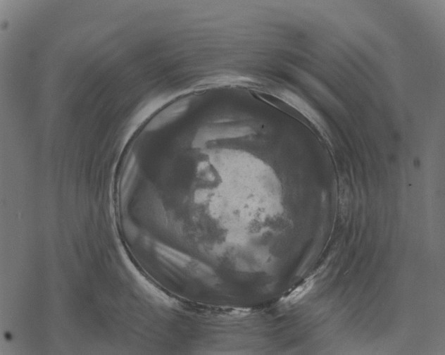 X0000077291055200611031545