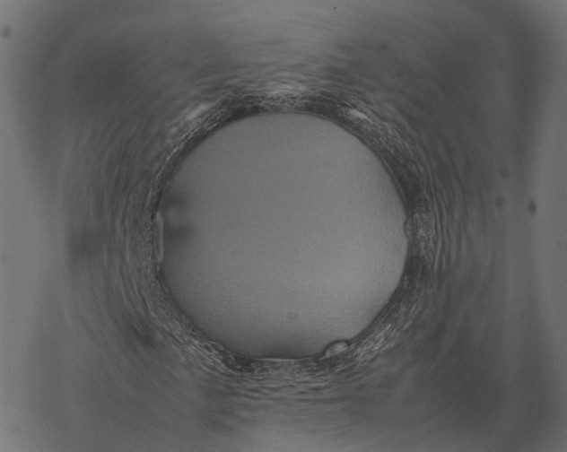 X0000077291057200611031545