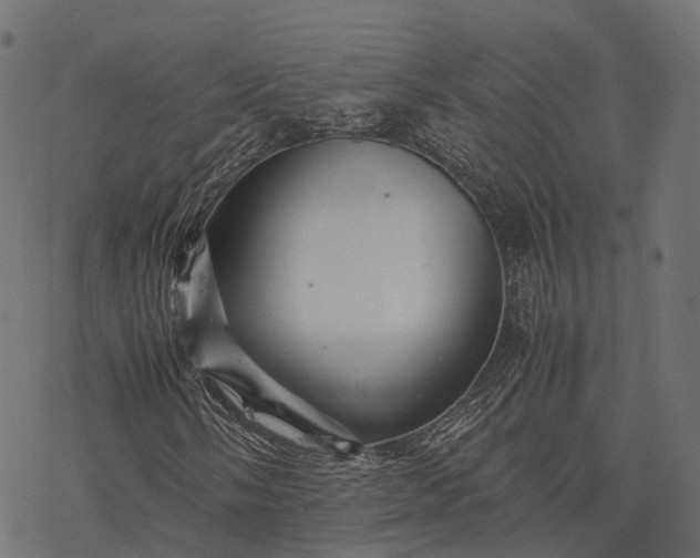 X0000077291058200611031545