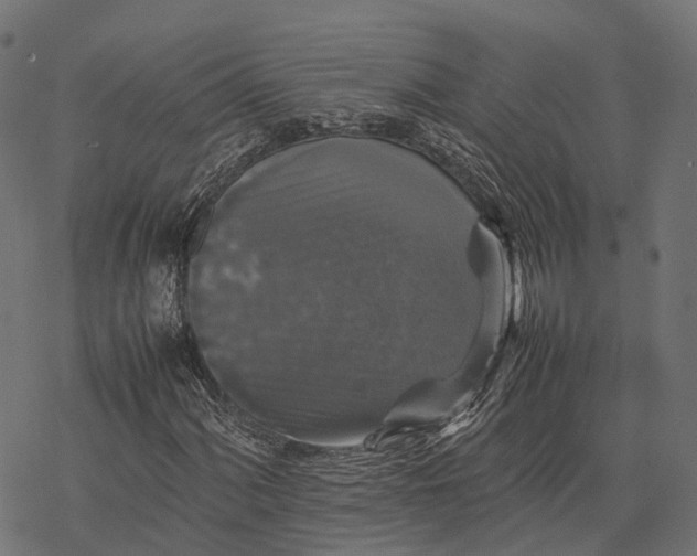 X0000077291060200611031545