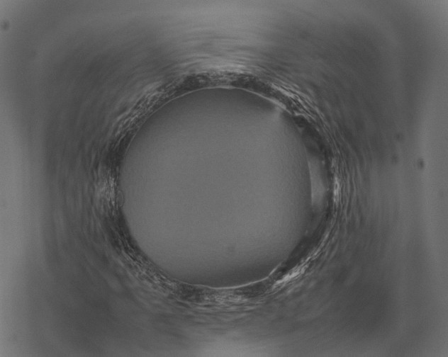 X0000077291061200611031545