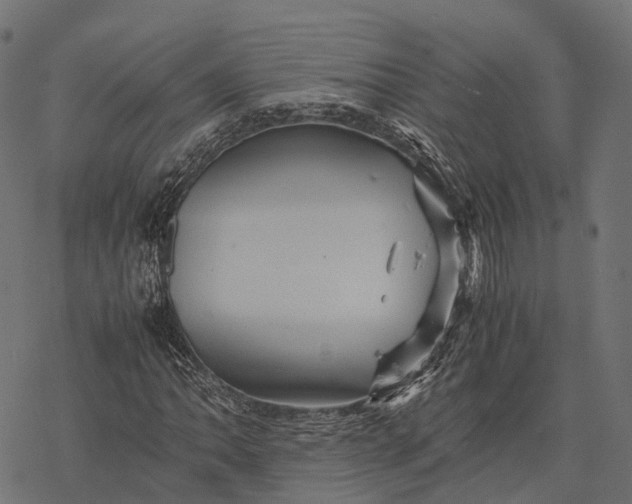 X0000077291062200611031545