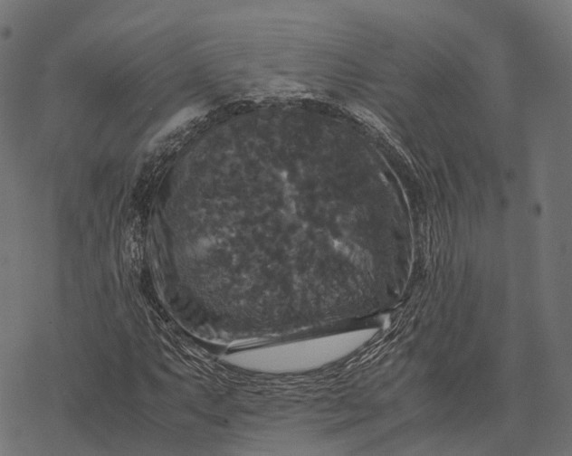 X0000077291063200611031544