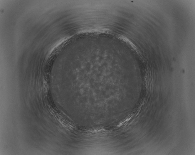 X0000077291064200611031544