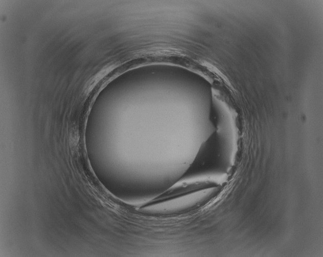 X0000077291065200611031544