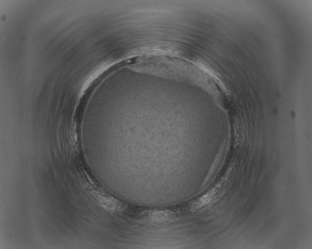 X0000077291070200611031544