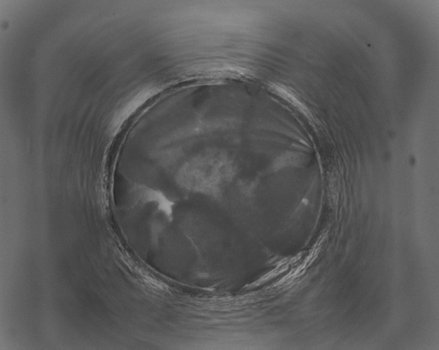 X0000077291071200611031544