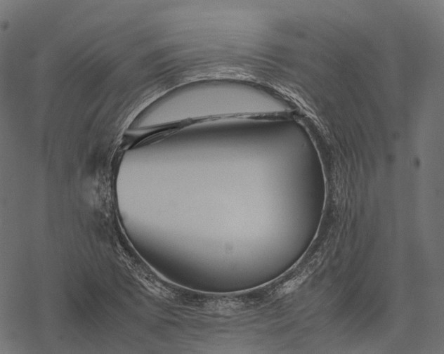 X0000077291073200611031544