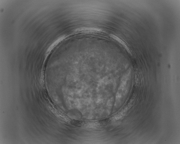 X0000077291074200611031544