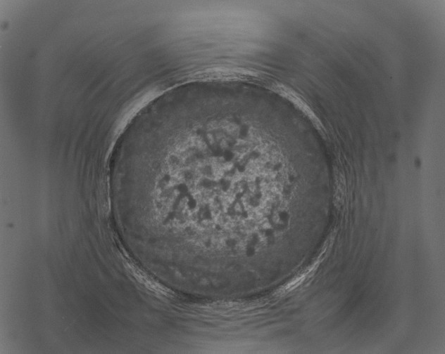 X0000077291075200611031544