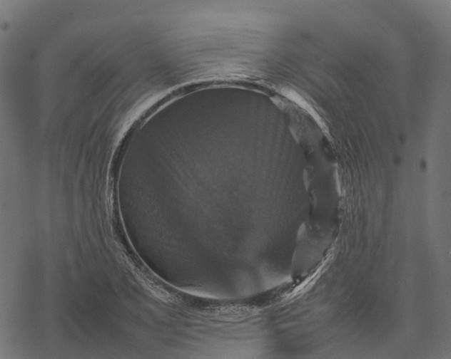 X0000077291077200611031544