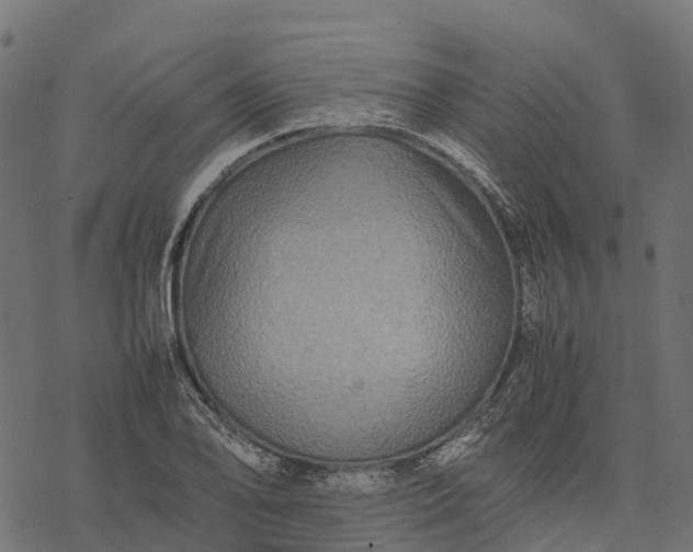 X0000077291078200611031544