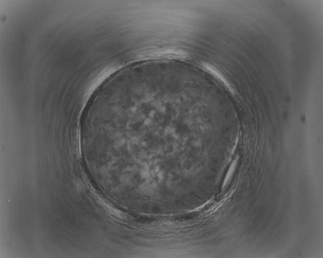 X0000077291079200611031544