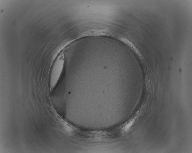 X0000077291081200611031544