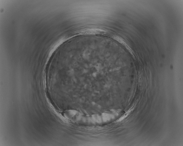 X0000077291083200611031544