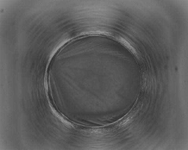 X0000077291084200611031544