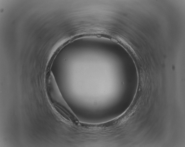 X0000077291085200611031544