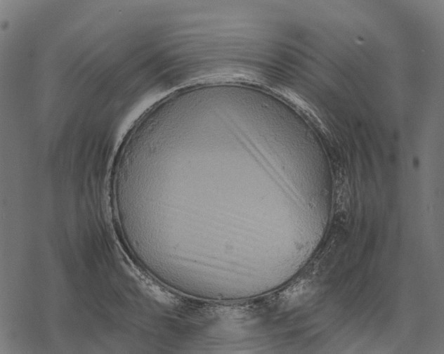 X0000077291086200611031544