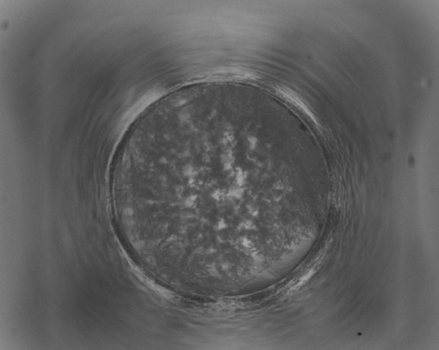 X0000077291087200611031544