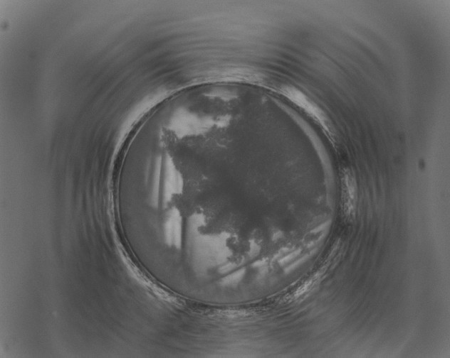 X0000077291088200611031544