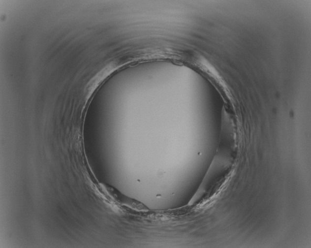 X0000077291089200611031544