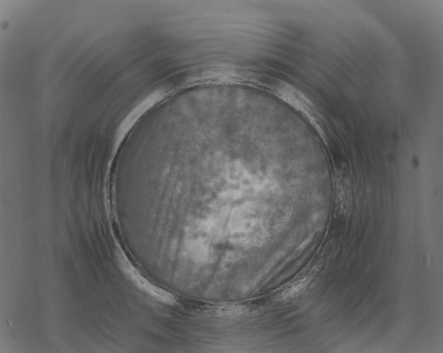 X0000077291090200611031544