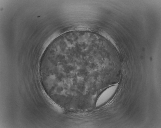 X0000077291091200611031544