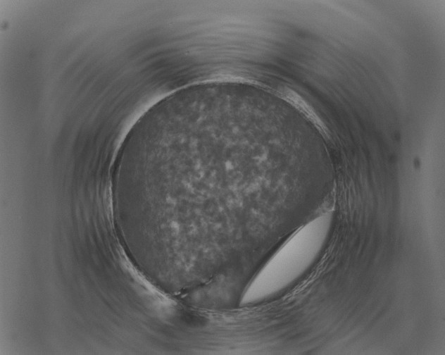 X0000077291092200611031544