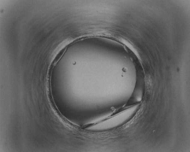 X0000077291093200611031544