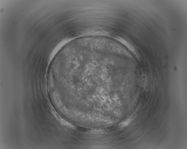 X0000077291094200611031544