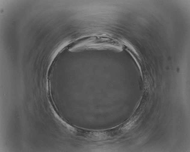 X0000077291095200611031544