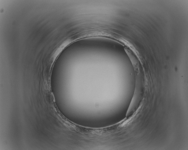 X0000077291097200611031544