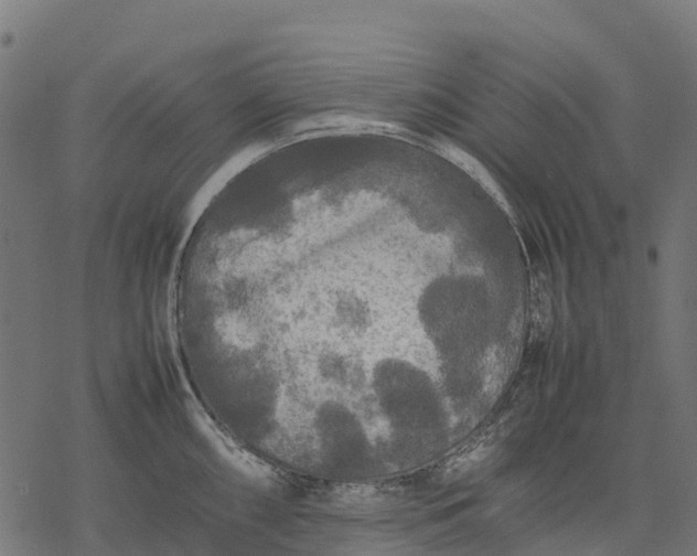 X0000077291098200611031544