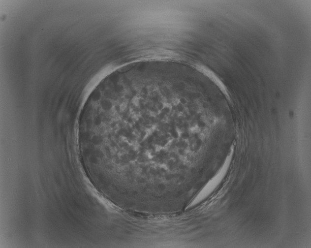 X0000077291099200611031544