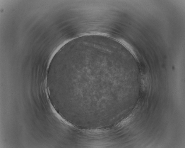 X0000077291100200611031544