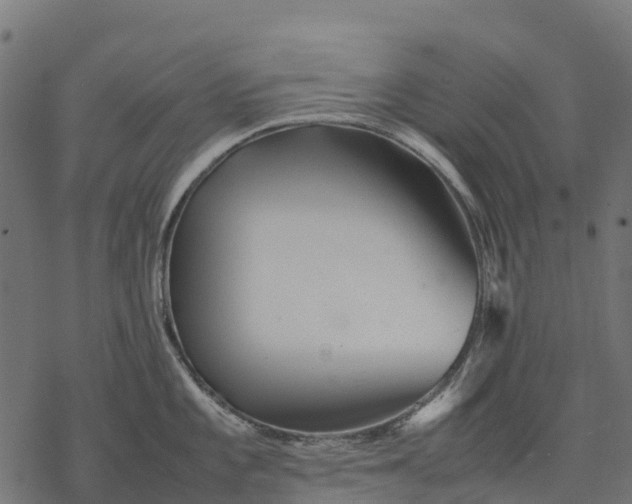 X0000077291101200611031544