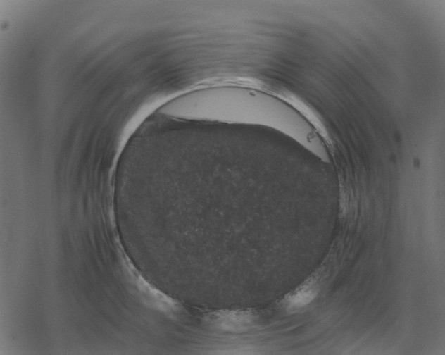 X0000077291102200611031544